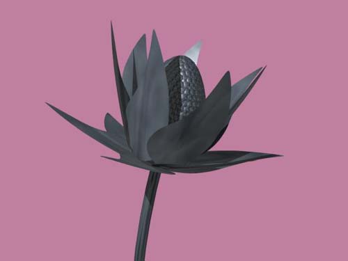 Pewter Lotus