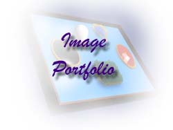 Image Portfolio